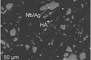 生物陶瓷基金屬復(fù)合材料及其制備方法和用途