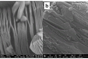 苯硼酸功能化Ti<Sub>3</Sub>C<Sub>2</Sub>T<Sub>x</Sub>磁性復(fù)合材料及其制備方法和應(yīng)用