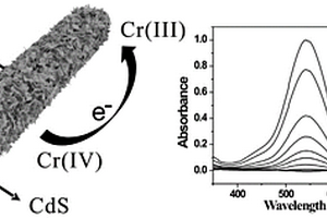 光催化用CdS@SnS<Sub>2</Sub>復(fù)合材料及其制備方法和應(yīng)用