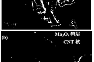 核鞘納米電纜結(jié)構(gòu)的碳納米管/Mn<Sub>3</Sub>O<Sub>4</Sub>復(fù)合材料及其制備方法