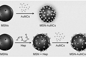 MSN-AuNCs納米復合材料及其制備方法和應用