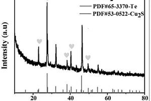碲-硫化亞銅異質(zhì)結(jié)復(fù)合材料及其制備方法和用途