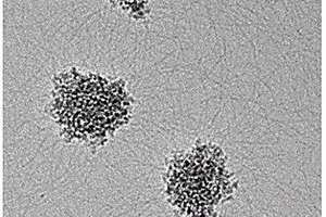 納米生物活性玻璃水凝膠復(fù)合材料及其制備方法