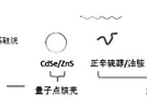 量子點復(fù)合材料及其制備方法、量子點發(fā)光器件