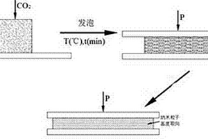 納米粒子在聚合物基體中高度取向的聚合物基納米復(fù)合材料的制備方法