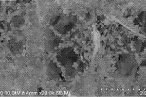 Ag/AgCl和TiO<sub>2</sub>納米線復合材料的制備