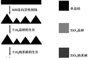 基于P/N異質結協(xié)同消反射性能的硅/二氧化鈦三維復合材料及應用