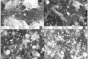 Ag-MnO<Sub>2</Sub>納米線復(fù)合材料及其制備方法與在檢測(cè)胸腺嘧啶含量中的應(yīng)用