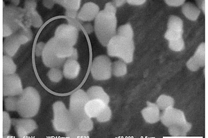 基于生物輔助自組裝的磁電納米復(fù)合材料的制備方法