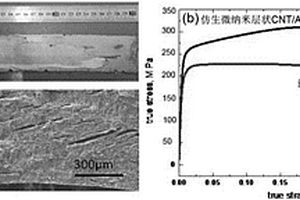 碳納米管增強鋁基復合材料的制備方法