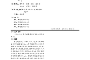 C/Fe3O4多孔納米珊瑚球復(fù)合材料的制備方法