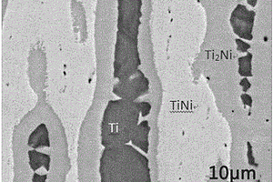 增強TiNi層狀復(fù)合材料及其制備方法