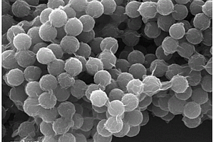 Ti<Sub>3</Sub>C<Sub>2</Sub>Tx復(fù)合材料及其制備方法