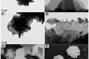 負(fù)載花球狀硫化銅-鈀核殼結(jié)構(gòu)的氮摻雜石墨烯復(fù)合材料及其制備方法與應(yīng)用