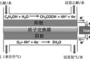 基于納米纖維素-氧化石墨烯薄膜復(fù)合材料及其制備方法和應(yīng)用