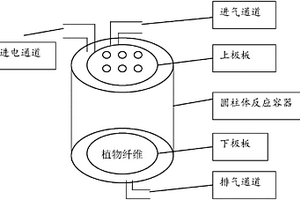 植物纖維的大氣壓冷等離子體改性方法及其在木塑復(fù)合材料中的應(yīng)用