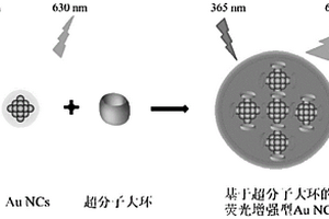 基于超分子大環(huán)的熒光增強(qiáng)型金納米團(tuán)簇復(fù)合材料的制備方法及其應(yīng)用