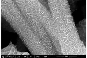 MoS<Sub>2</Sub>基多元過渡金屬硫化物復合材料的制備方法