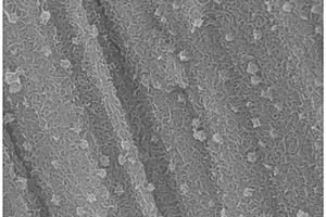 TiO<sub>2</sub>/MoS<sub>2</sub>超薄納米片陣列復(fù)合材料的制備方法