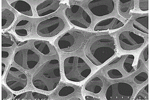 用于制作電極的多孔金屬復(fù)合材料及其制備方法
