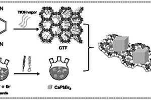 鈣鈦礦敏化共價三嗪有機(jī)框架復(fù)合材料的制備方法