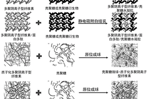 基于多聚陰離子型纖維素的可吸收止血復(fù)合材料及其制備方法