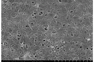 Pt納米線、Pt NWs/Ni(OH)<Sub>2</Sub>復(fù)合材料及應(yīng)用