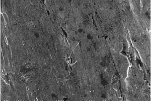 Fe合金/Al<sub>2</sub>O<sub>3</sub>催化劑載體材料的制備方法