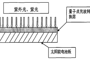 硅基太陽能電池表面量子點光波轉(zhuǎn)換層的制備方法