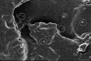 聚四氟乙烯納米粒子改性酚醛樹脂耐磨材料及其制備方法