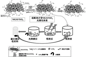 選擇性降解真菌毒素的光催化劑、制備方法及其應(yīng)用