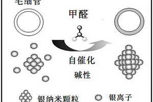 基于毛細(xì)現(xiàn)象與納米銀識(shí)別原理的醛類速測(cè)器件及其制備方法和應(yīng)用