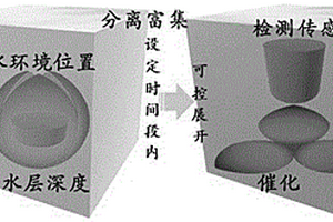 兼具分離富集、檢測(cè)、催化功能的一體化智能結(jié)構(gòu)體系及其制備方法