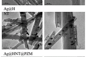 含聚磷腈包覆的摻銀埃洛石納米管復(fù)合材料的制備方法及其應(yīng)用