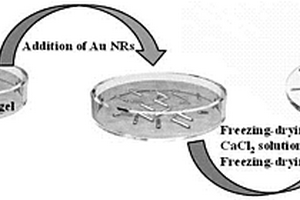 柔性海藻酸鈉-金納米粒子復(fù)合材料的制備及其應(yīng)用