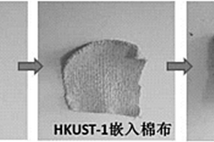 碳基復(fù)合材料的制備方法和用途