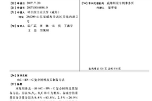 SIC-BN-C復合材料及其制備方法