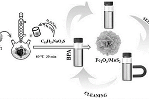 環(huán)境友好型二硫化鉬/三氧化二鐵納米復(fù)合材料的制備方法及應(yīng)用