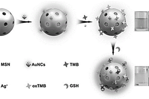 基于SiO2-AuNCs納米復(fù)合材料的生物傳感器及其構(gòu)建方法和應(yīng)用