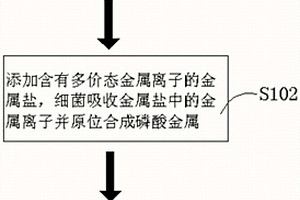 以細(xì)菌為基體制備金屬離子電池負(fù)極材料的方法及電池