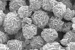 花狀Fe/Fe<Sub>3</Sub>C/Fe<Sub>3</Sub>O<Sub>4</Sub>復(fù)合吸波材料及其制備方法