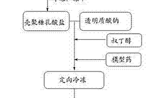 高透氣性可降解的載藥皮膚創(chuàng)傷敷料及其制備方法和設(shè)備