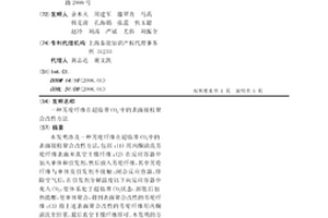 芳綸纖維在超臨界CO2中的表面接枝聚合改性方法