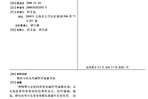 物理可再充電堿性鋅錳蓄電池