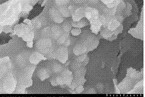 瀝青基硅碳納米片鋰電負(fù)極材料的制備方法