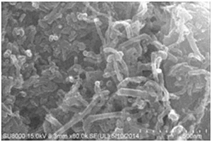 碳管改性二硫化鉬鋰離子電池負(fù)極材料的制備方法