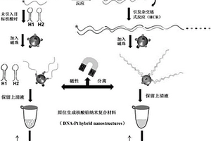 基于核酸和鉑納米材料的自組裝體系檢測核酸濃度的方法