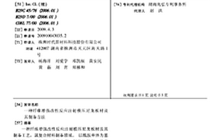 纖維增強改性反應(yīng)注射模壓尼龍板材及其制備方法