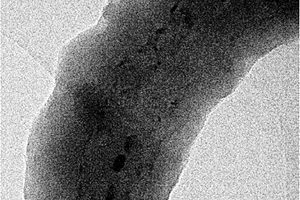 含碳納米管的硫基復合正極材料及其制備方法