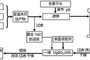 無孔高結(jié)晶硼酸鎂納米晶須的綠色水熱合成方法